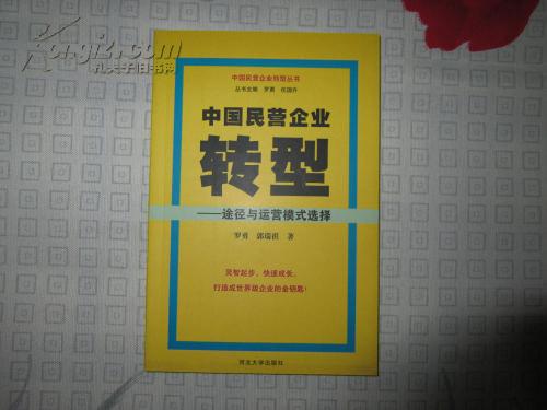 中国民营企业转型――途径与运营模式选择