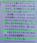 日版井又睦实 猪股睦实 猫言猫语 にゃおんのおはなし 文库