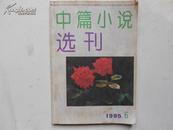 中篇小说选刊1995-06