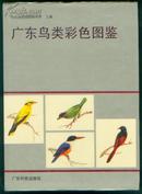 广东鸟类彩色图鉴(16开精装,有彩图50页，方楚雄等绘画，鸟图299幅)