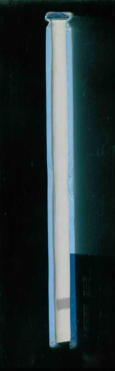 微创泌尿外科手术学