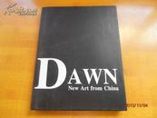 DAWN：NEW ART FTOM CHINA【英文原版 书名自己看 如图】