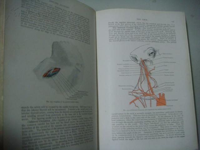 Applied anatomy  (1924年)布面大开本精装 638插图（黑白和彩色）全部铜版纸印刷，厚重