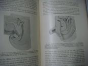 Outlines of Comparative anatomy of vertebrates 脊椎动物解剖比较 1917精装16开 406精细插图