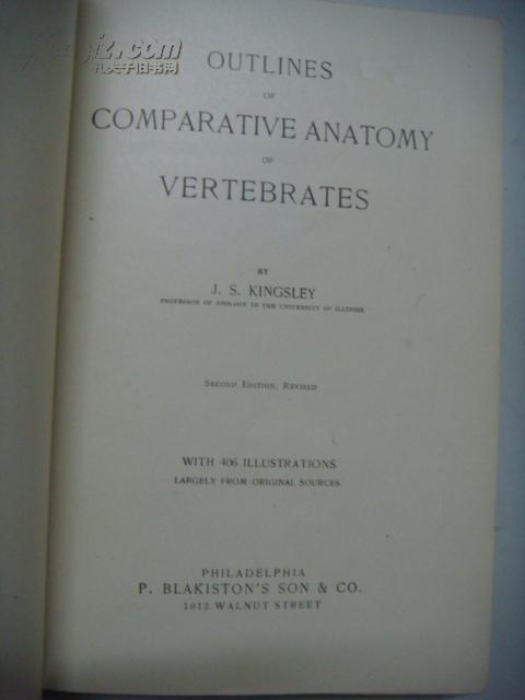 Outlines of Comparative anatomy of vertebrates 脊椎动物解剖比较 1917精装16开 406精细插图