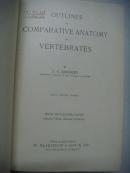 Outlines of Comparative anatomy of vertebrates 脊椎动物解剖比较 1917精装16开 406精细插图