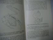 Outlines of Comparative anatomy of vertebrates 脊椎动物解剖比较 1917精装16开 406精细插图