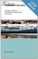Institutional Dynamics:Emergent Patterns in International Environmental Governance 