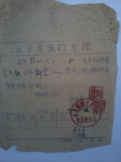  1963年牲畜宰杀许可证[江西赣县]