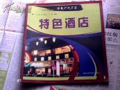 特色酒店(精美灯光店面)		