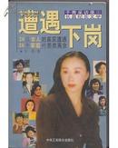 遭遇下岗——于秀采访录（长篇纪实文学、20位女人的真实遭遇、20个家庭的悲欢离合）