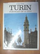 英文原版画册：Turin: Portrait of a City 都灵：一个城市的映像（大16开精装）