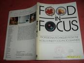 food in focus(食品关注profession aletchniques from the world is finest food photographers)