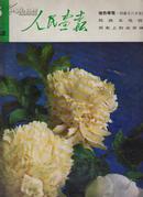 人民画报（1982年第5期）