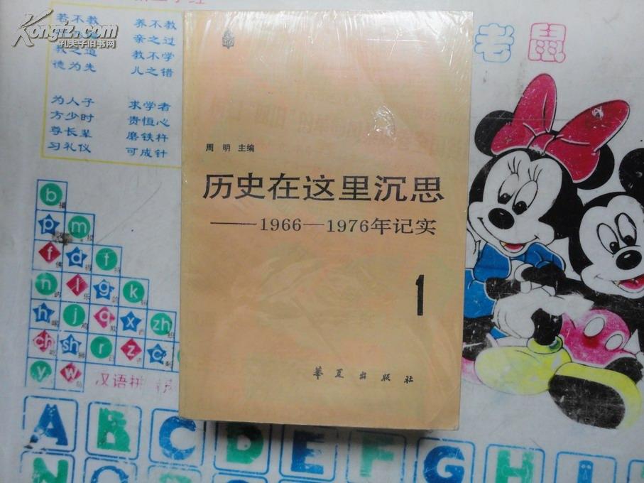 历史在这里沉思 1966-1976记实