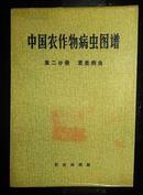 中国农作物病虫图谱.第二分册.麦类病虫