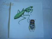 1...出版社昆虫绘画原稿【螳螂，知了】20 x 18厘米 