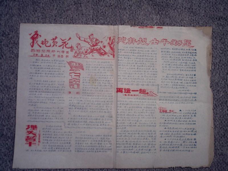 **初期传单  战地黄花 第18期 1970.3.24