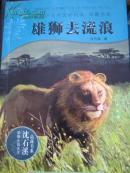 漫步巴尔的摩——胡红江散文集  【一版一印 仅印3千册！】