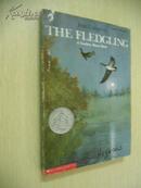 The Fledgling:A Newbery Honor Book【英文原版】