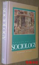 Sociology Second Edition 16精装英文原版《社会学》