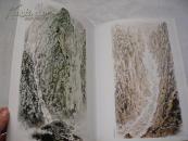 中国近现代名家画集 张文俊 非馆藏无涂画.一版一印.缺少封面封底其他很好75品.8开