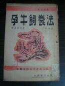 孕牛饲养法