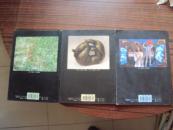 美术观察(1998年第5.9.10期)三本合售