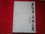 安徽草书精品展 【 2012合肥 】 弱九品