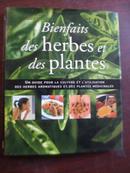 BIENFAITS DES HERBES ET DES OLANTES