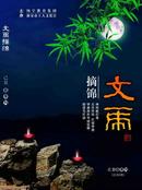 灯谜类：文虎摘锦（总98期）2009年春刊，包平邮