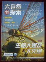 大自然探索2008年 第11期