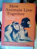 How Animals Live Together 《动物们如何生活在一起》外版儿童书籍