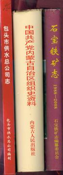 《石宝铁矿志》（1988~2008） 包邮【实物扫描如图所标品相供参考】