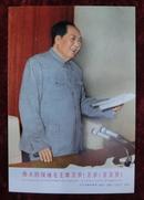 小画片：伟大领袖毛主席万岁万岁万万岁（九届讲话）