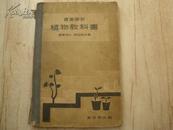 植物教科书【日文原版】1937年