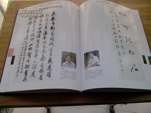 河南书法年鉴2010