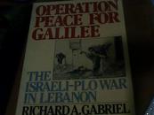 OPERATION PEACE FOR GALILEE