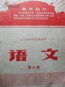 语文   第六册  中学教材