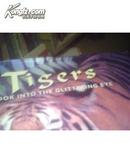 TIGERS---A look into the glittering eye(画册）