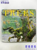 Trees: A Celebration in Photographs  by Graeme Matthews, David J. Bellamy（横八开精装 铜版精印）