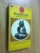 Rascal