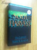 Soul Harvest: The World Takes Sides (Book Four)【末世迷踪：夺灵大战，蒂姆·莱希、杰里·詹金斯，英文原版】