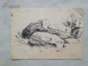 李枫 1957年绘写生素描 共16幅  补图