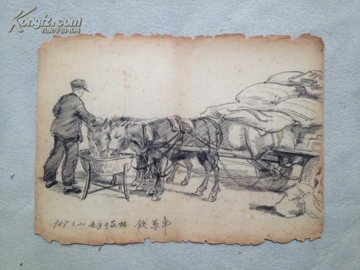 点击查看原图 李枫 1957年绘写生素描 共16幅  补图