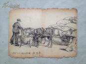 李枫 1957年绘写生素描 共16幅  补图