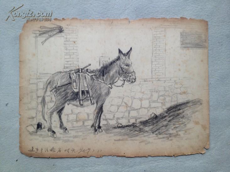 点击查看原图 李枫 1957年绘写生素描 共16幅  补图