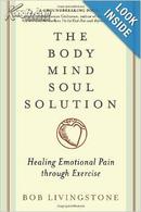 The Body Mind Soul Solution