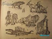 初级中学课本————自然地理 / 好多插图