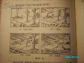 初级中学课本————自然地理 / 好多插图